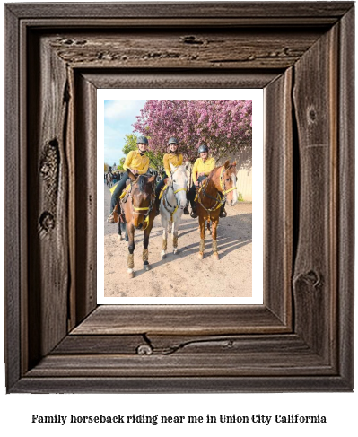 family horseback riding near me in Union City, California